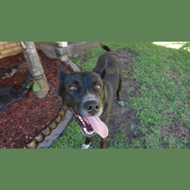Photo of Jett
