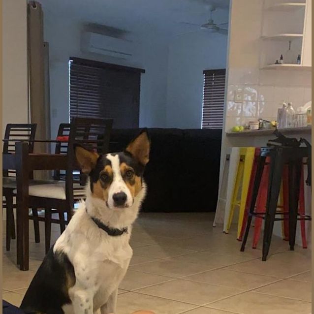 Photo of Eddie
