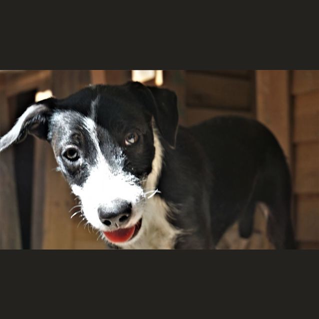 Photo of Zoe