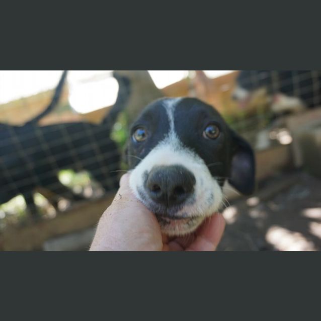 Photo of Zoe
