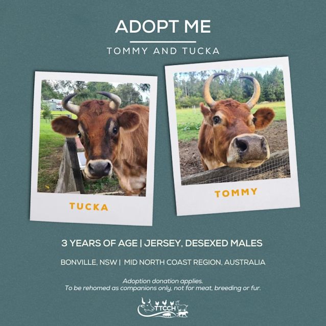 Photo of Tommy And Tucka