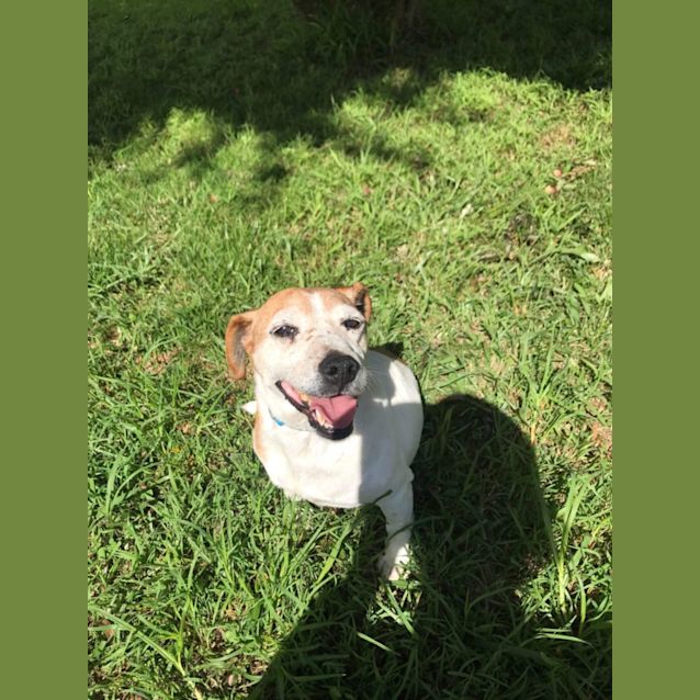 Photo of Jacko