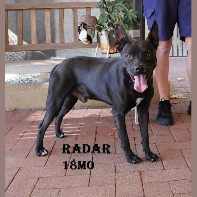 Photo of Radar