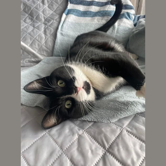 Photo of Tamari