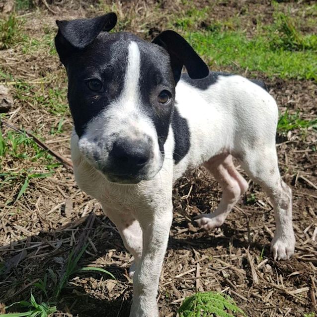 Photo of Layla ❤️