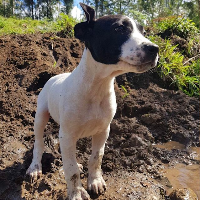 Photo of Layla ❤️