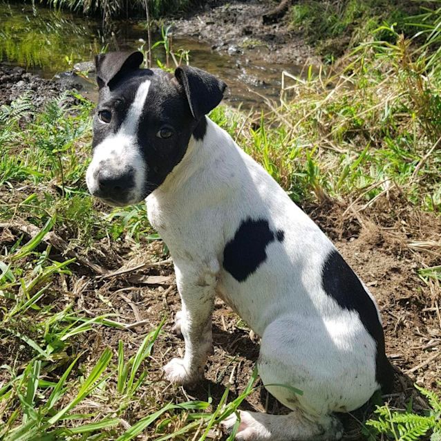 Photo of Layla ❤️