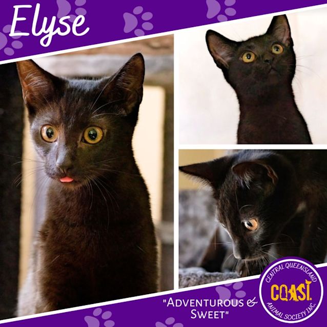 Photo of Elyse