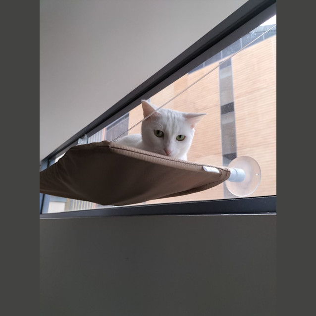 Photo of Cressy 🌸