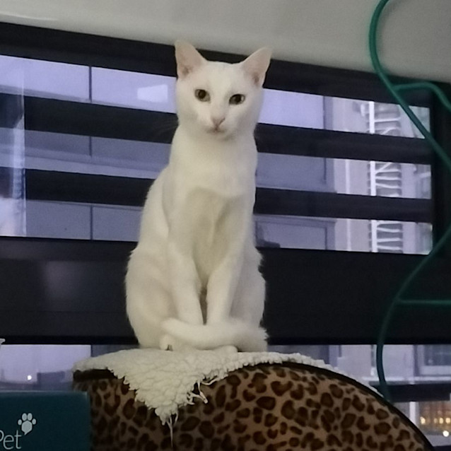 Photo of Cressy 🌸