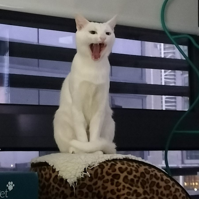 Photo of Cressy 🌸