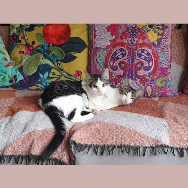 Photo of  Millicent & Rupert 💜