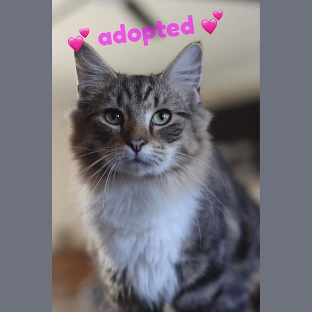 Photo of Frodo 