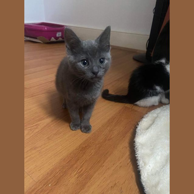 Photo of Tofu & Noodles