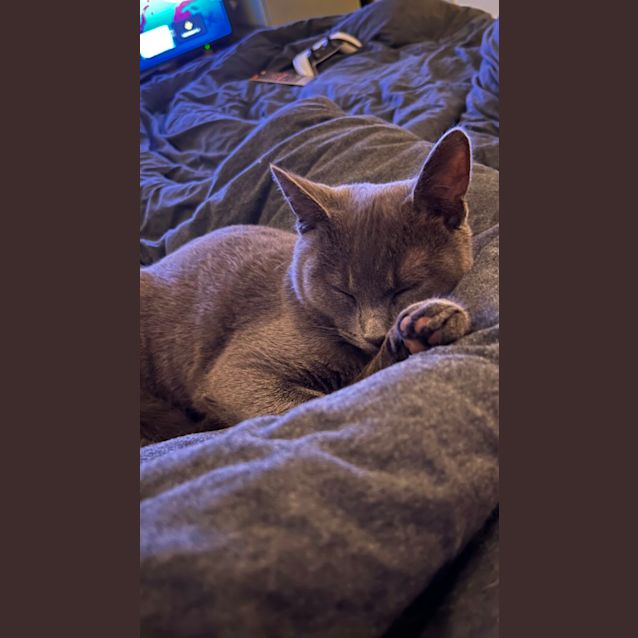 Photo of Momo