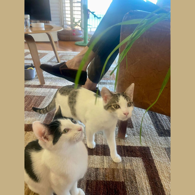 Photo of Spot And Mr Skrunkles