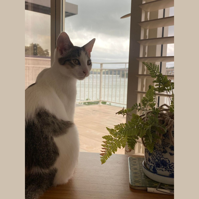 Photo of Spot And Mr Skrunkles