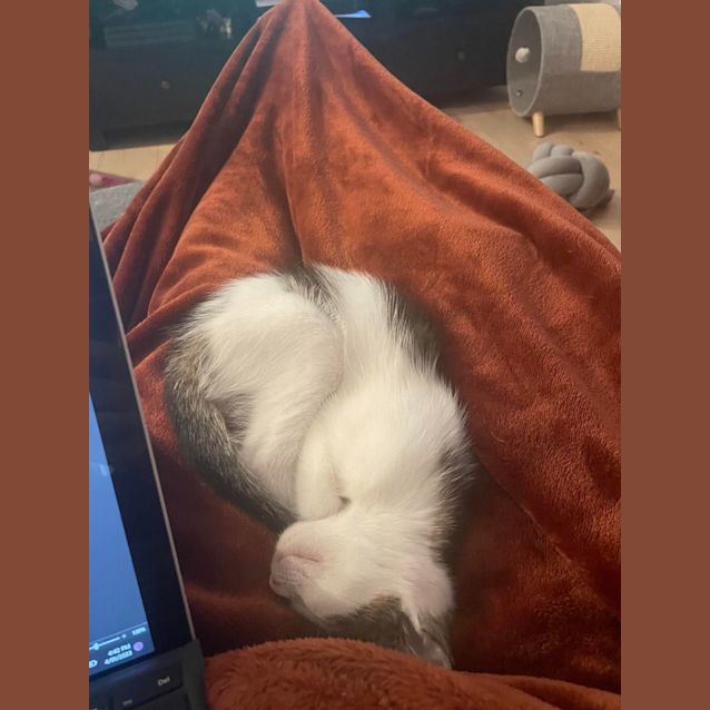 Photo of Stripe And Dot