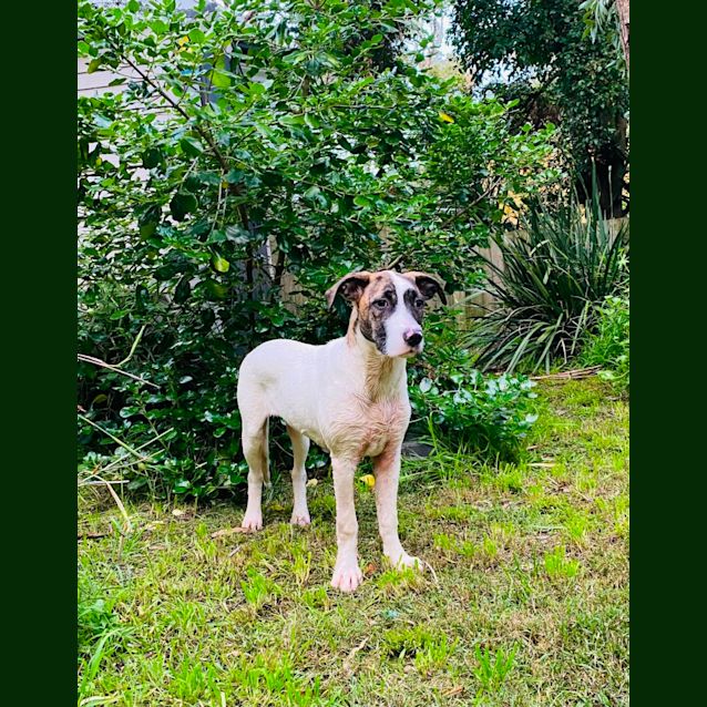 Photo of Kiki