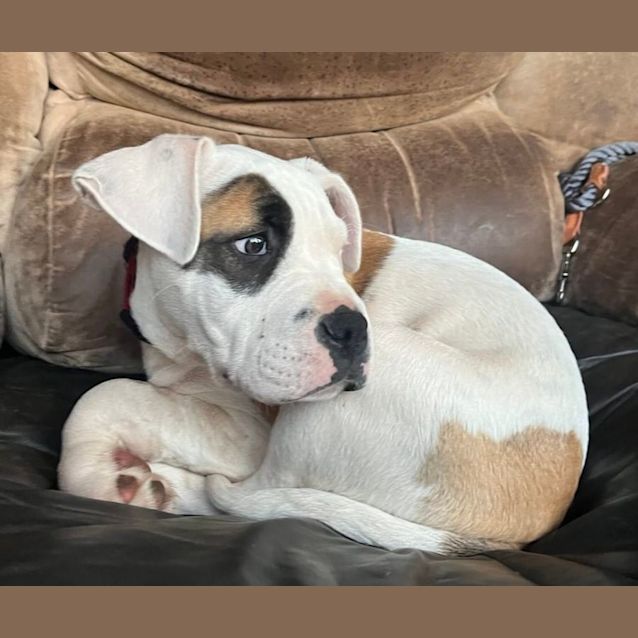 Photo of Aussie May