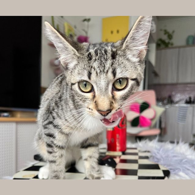 Photo of Jesse And Squirrel