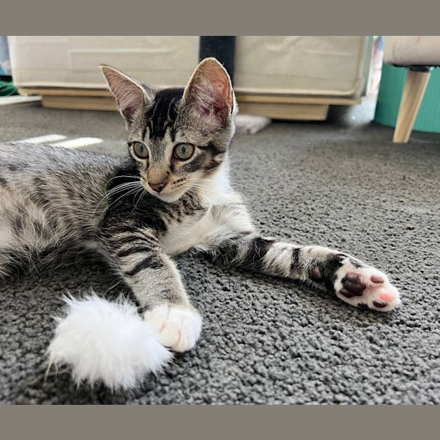 Photo of Jesse And Squirrel