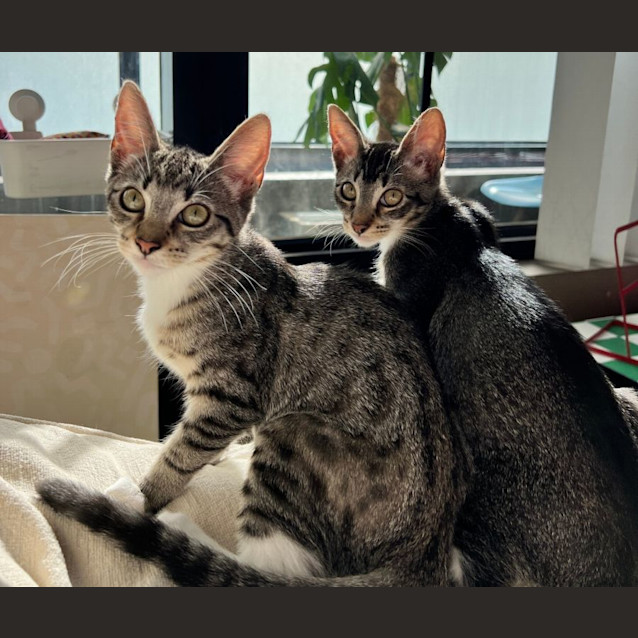 Photo of Jesse And Squirrel