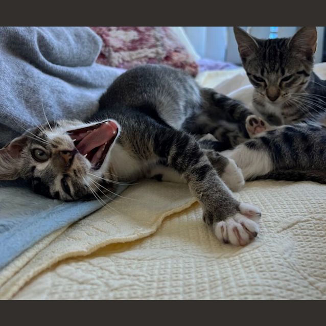 Photo of Jesse And Squirrel