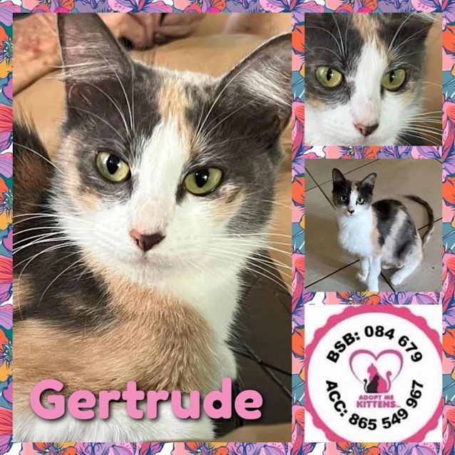Photo of Gertrude