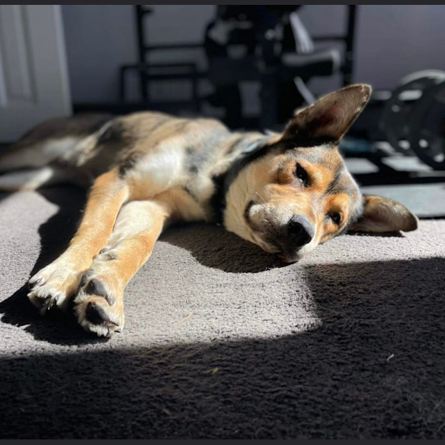 Photo of Bodie