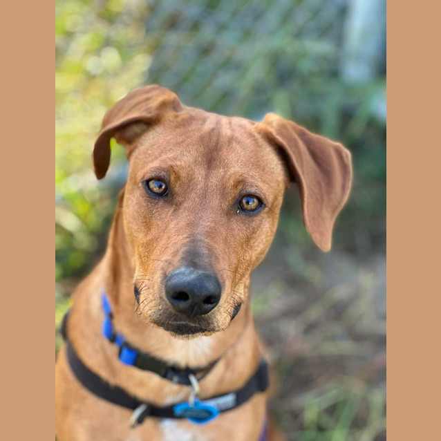 Photo of Sam (Was Monet)