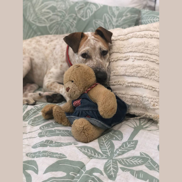 Photo of Lady