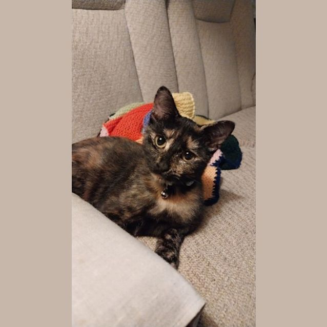 Photo of Jazzy 🎶🎵🎺