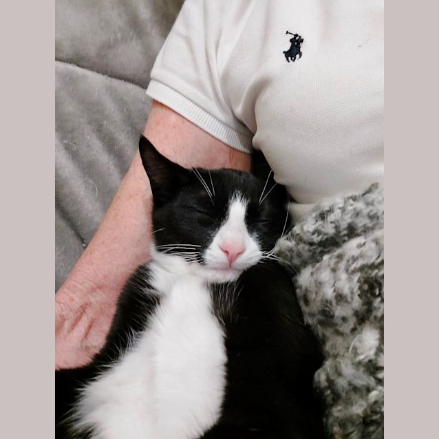 Photo of Rupert & Flynn