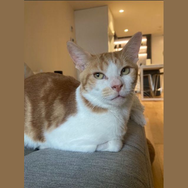 Photo of Fred & George Weasley