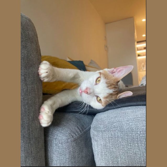 Photo of Fred & George Weasley