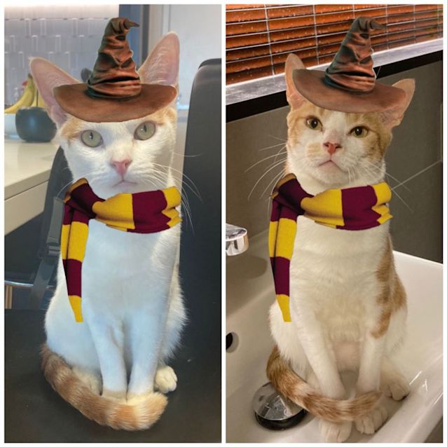 Photo of Fred & George Weasley