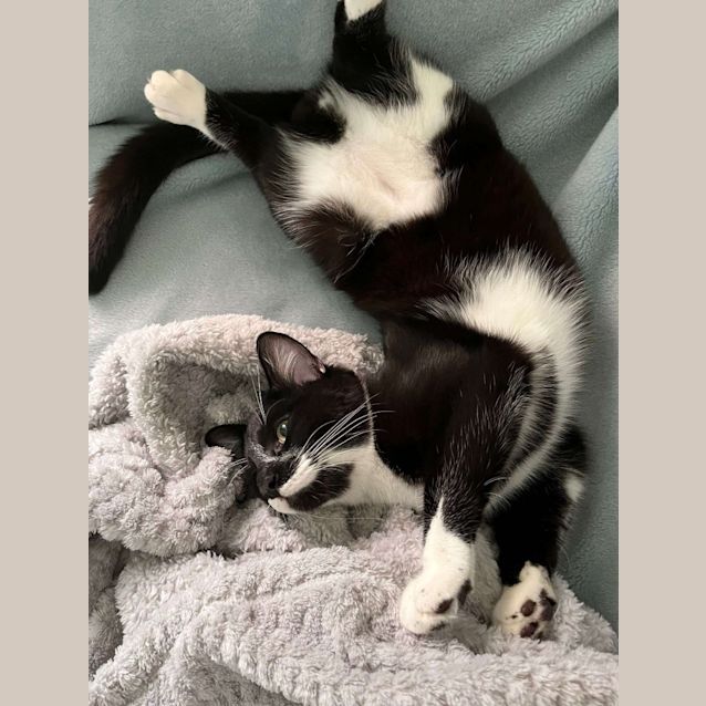 Photo of Kiko