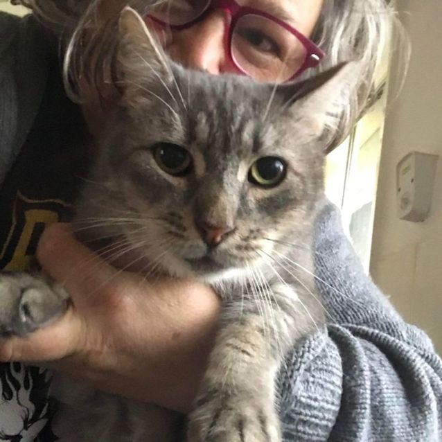 Photo of Lovebug Rupert