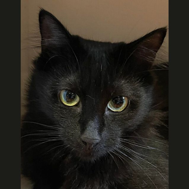 Photo of Mumma Fluff