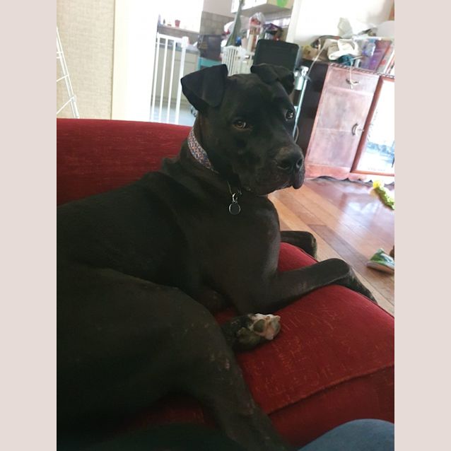 Photo of Finn
