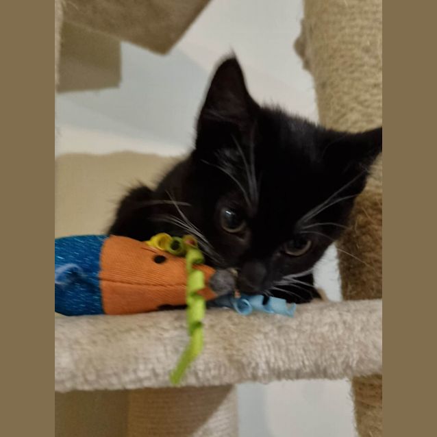 Photo of Bixby