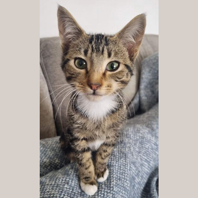 Photo of Percy