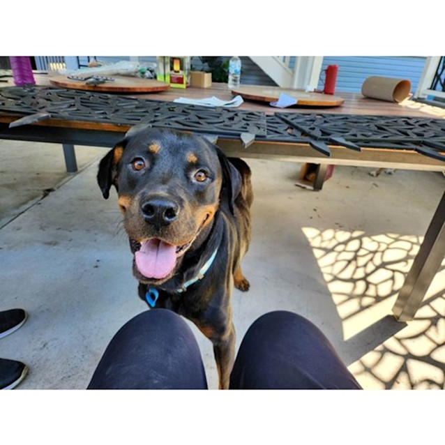 Photo of Mishka