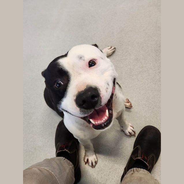 Photo of  🌸 Gypsy 🌸C04380