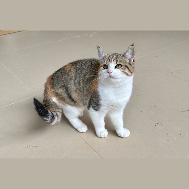 Photo of Cleo