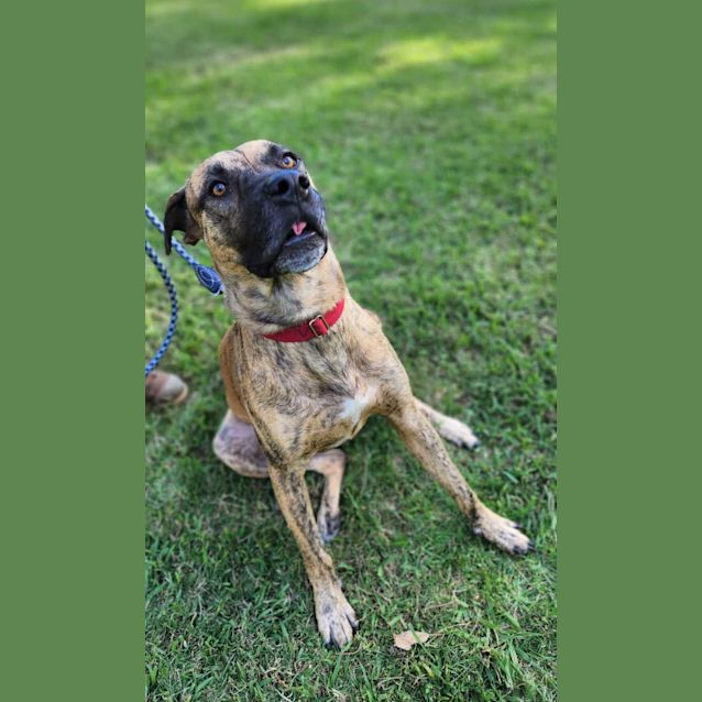Photo of Rex