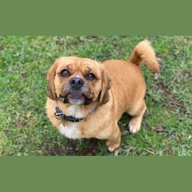 Photo of Tiggie