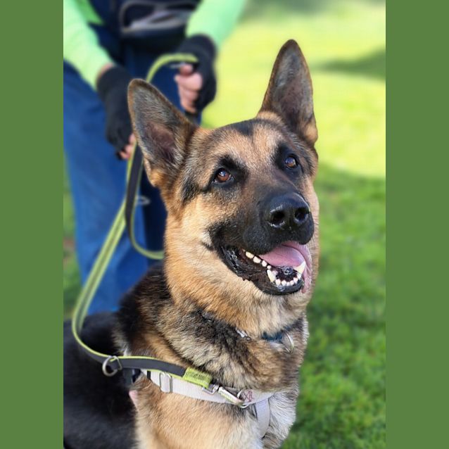 Photo of Apollo