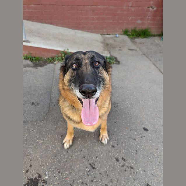 Photo of Cooper
